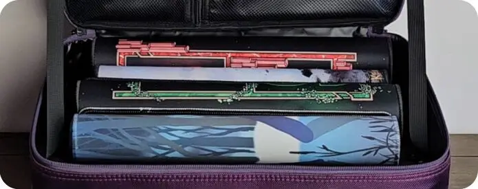 Top layer of the case with multiple playmats
