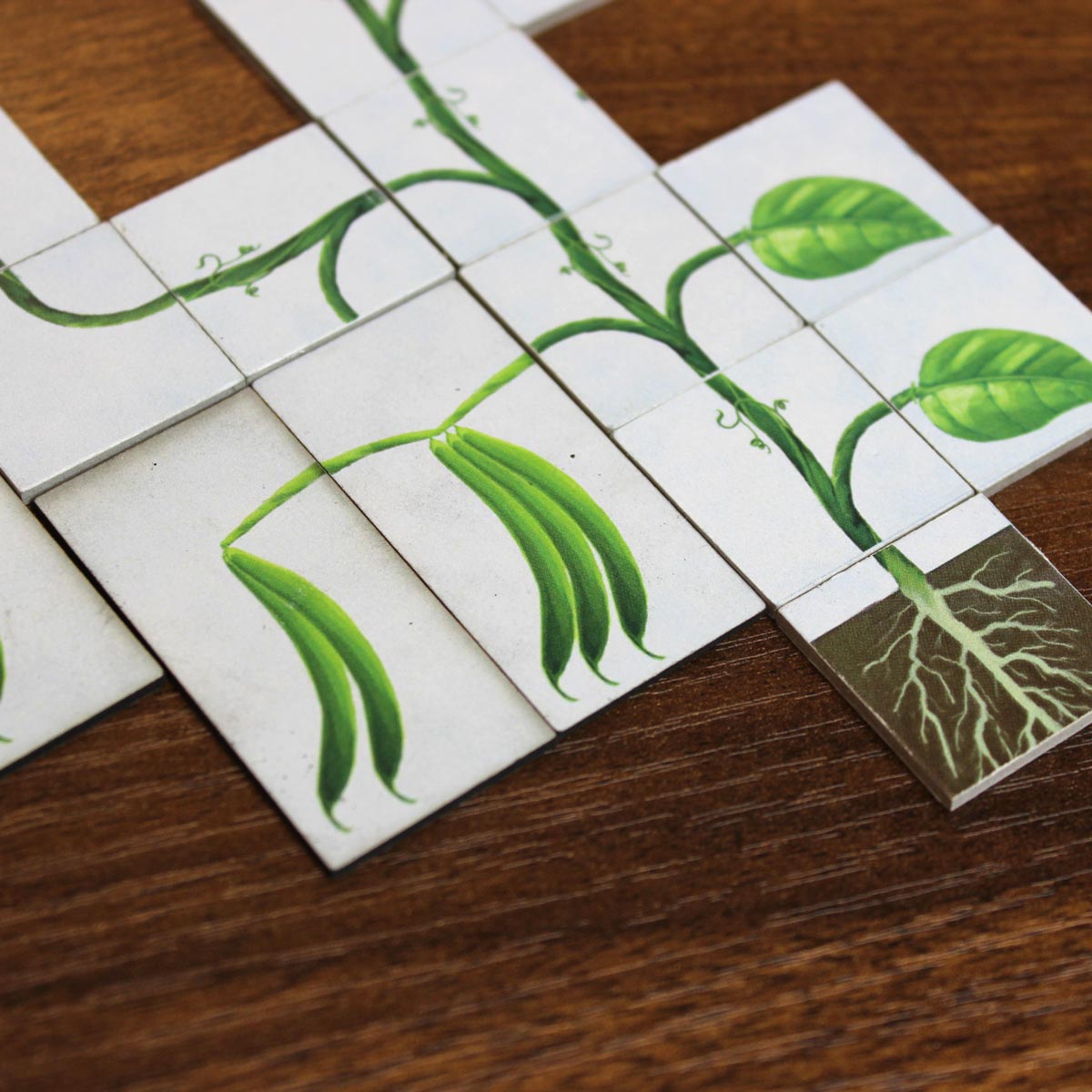 Vine Base Game (Standard) - Image 2