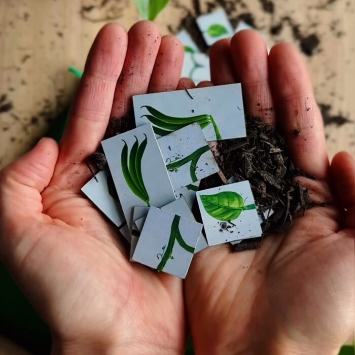 Hands holding a mix of loose soil and Vine game tiles together